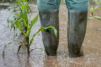 bauenwohnen_klimaschutz_ueberschwemmung